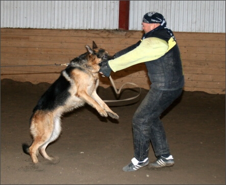 Training in Estonia 11/2007